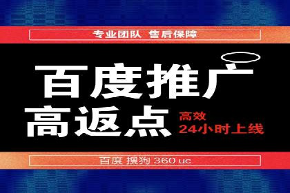 百度搜索引擎优化推广：成功案例揭秘